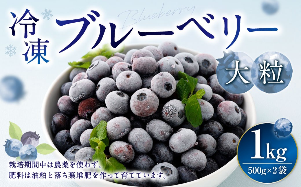 
                  冷凍ブルーベリー 大粒 500g × 2 ブルーベリー フルーツ 果物 くだもの ベリー デザート おやつ 冷凍 【 2026年8月上旬発送開始 】
                