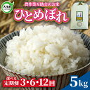 【ふるさと納税】 米 定期便 ひとめぼれ 5kg 選べる回数 3ヶ月 / 6ヶ月 12ヶ月 《 令和6年産 先行予約 》 福島県 大玉村 農作業互助会 ｜ 新米 定期 3回 6回 12回 精米 白米 ヒトメボレ コメ 送料無料 ｜