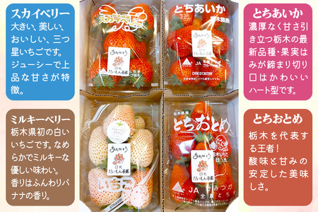 【ふるなびWEEK対象】[先行予約] ひみつ (日光) の宝石箱 4品種セット「とちおとめ・スカイベリー・とちあいか・ミルキーベリー」計160g×4パック [2026年1月上旬より順次発送]｜先行予約