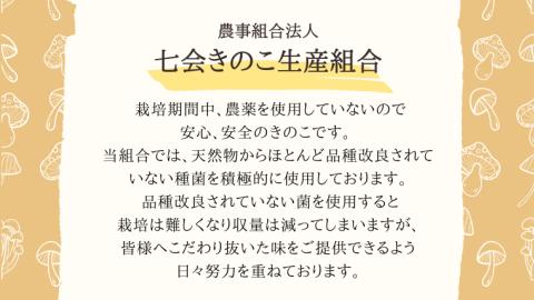 きのこ の 詰め合わせ Sサイズ 約1000g【茨城県共通返礼品 城里町】 キノコ 舞茸 あわび茸 たもぎ茸 しいたけ ぶなしめじ [CX001sa]