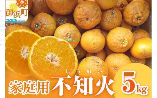 ミカファームの不知火5キロ(家庭用）