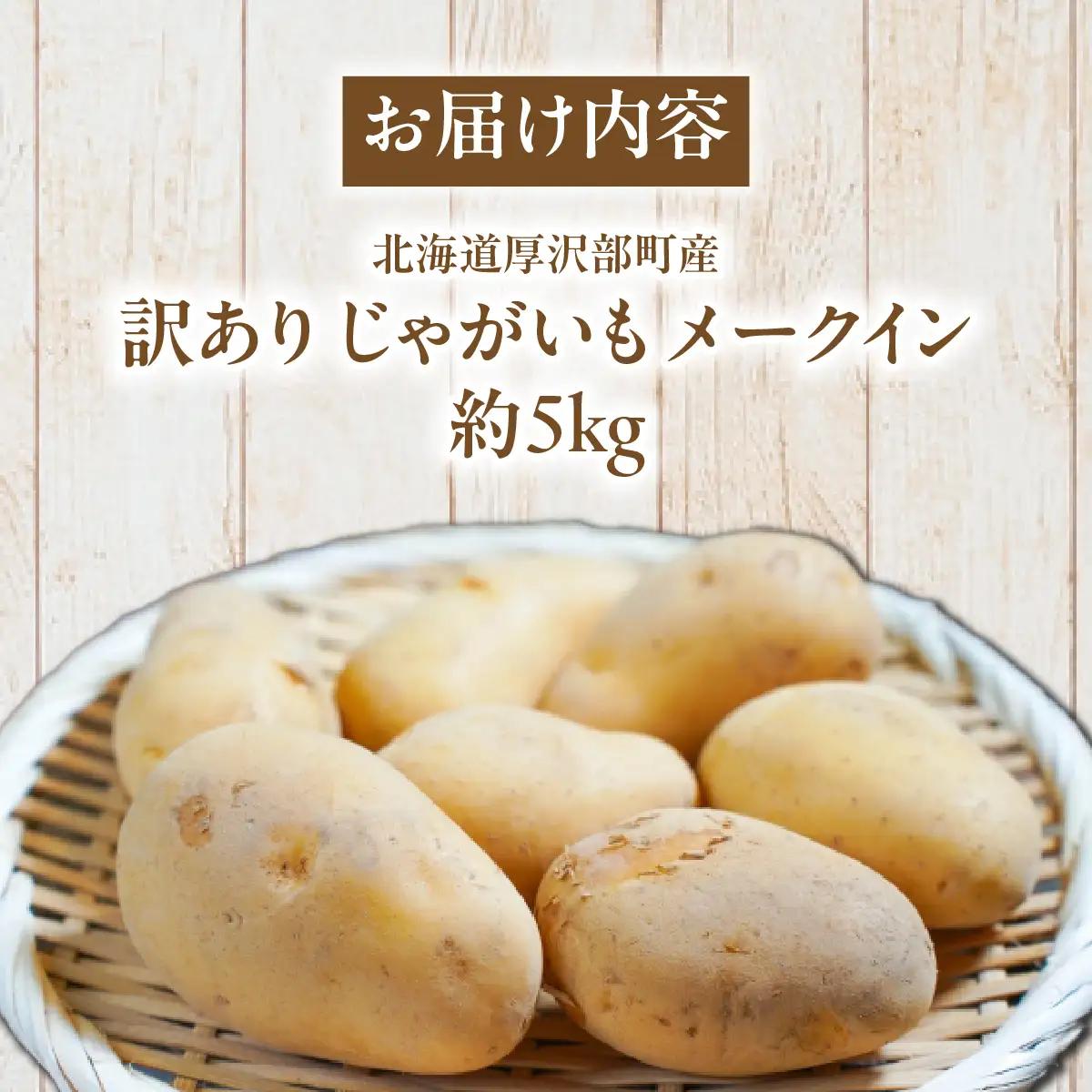 【2026年7月下旬頃より順次発送】(訳あり) じゃがいも メークイン 5kg ASG081