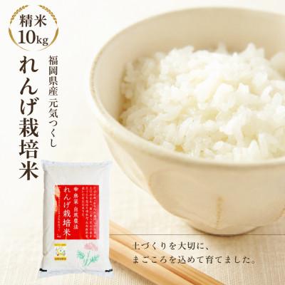 ふるさと納税 大木町 【先行予約】令和8年産 れんげ農法栽培米 元気つくし 精米10kg　BI23