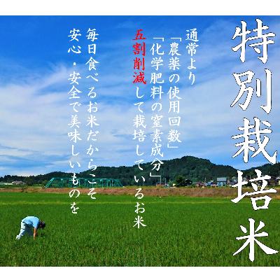 ふるさと納税 小千谷市 令和7年産 魚沼産コシヒカリ 10kg【特別栽培米】 |  | 01