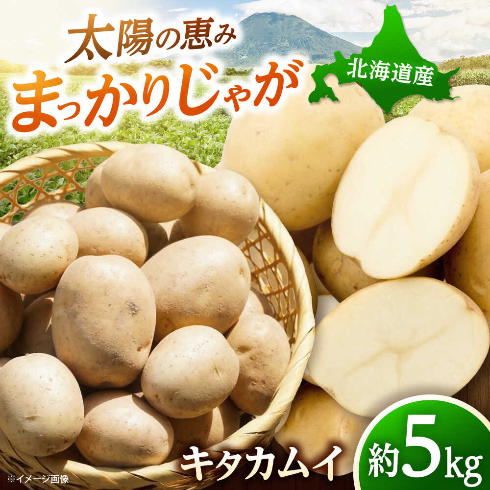 【ふるさと納税】【2026年11月上旬以降順次発送】 じゃがいも キタカムイ（まっかりじゃが）5kg | 野菜 じゃがいも ジャガイモ キタカムイ 北海道 産地直送 先行予約 | 道の駅 真狩フラワーセンター[BPAM048]