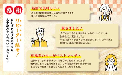 【５月・７月・９月にお届け・３回定期便】中村でしか食べられない中村伝統の味「カツオの塩タタキセット」『生』（約400ｇ 約3～4人前）