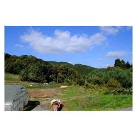 令和7年産 里山新見のめぐみ あきたこまち15kg(5kg×3袋)