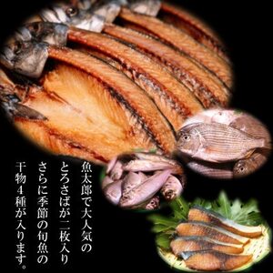 【南知多町・美浜町共通返礼品】魚太郎名物【とろさば】入り・自家製ひもの5種おまかせセット【配送不可地域：離島】【1459556】