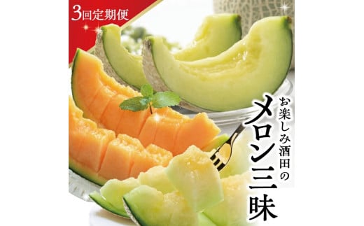 ≪3回定期便≫ 酒田のメロン三昧2026 6月中旬～7月下旬 アンデスメロン 7月上旬～8月上旬 赤肉メロン 8月中旬～9月下旬 アールスメロン 計3回 頒布会 夏 秋 メロン 山形 酒田 庄内 マルト直治郎商店　SE0492