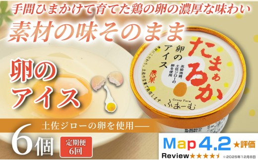 卵のアイス 100ml × 6個 6回定期便 アイスクリーム 人気 卵 土佐ジロー おやつ お菓子 アイスクリーム ファミリー おすすめ ご当地アイス アイス 高知県 たまご 卵 地鶏 スイーツ デザート ヘルシー 牛乳 ミルク 濃厚 手作り 話題 ユニーク 変わり種 ホームパーティー おもてなし 詰め合わせ 贈り物 贈答 ギフト プレゼント リピート ジェラート 安芸市 高知県