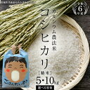 【ふるさと納税】 《 令和6年産 》 カルシウム農法米 コシヒカリ 精米 5kg ～ 10kg ( 選べる 内容量 ) (茨城県共通返礼品 かすみがうら市) 米 ごはん 粘り ツヤ コメ お米 白米