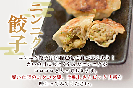 【数量限定！】＜ニンニク餃子(12ヶ入×5パック)＞【MI282-fu】【福栄生餃子店】