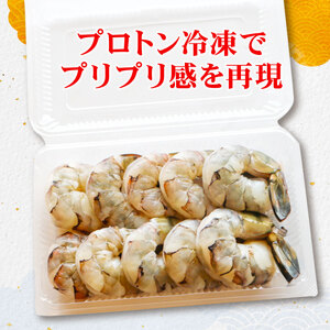 まるは食堂 『訳あり』特大むきえび500ｇ ※背ワタ処理済み エビエビエビエビエビ