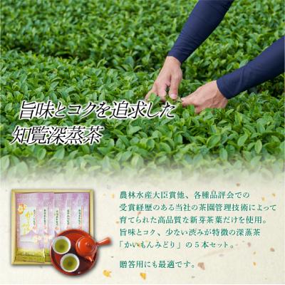 ふるさと納税 南九州市 知覧銘茶　かいもんみどり5本セット |  | 01