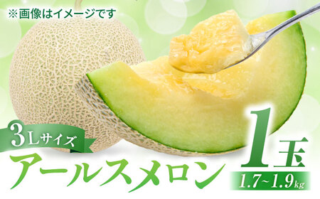 【先行予約】アールスメロン 約1.7kg～1.9kg （3Lサイズ1玉入り）【鹿本農業協同組合】[ZAG004]