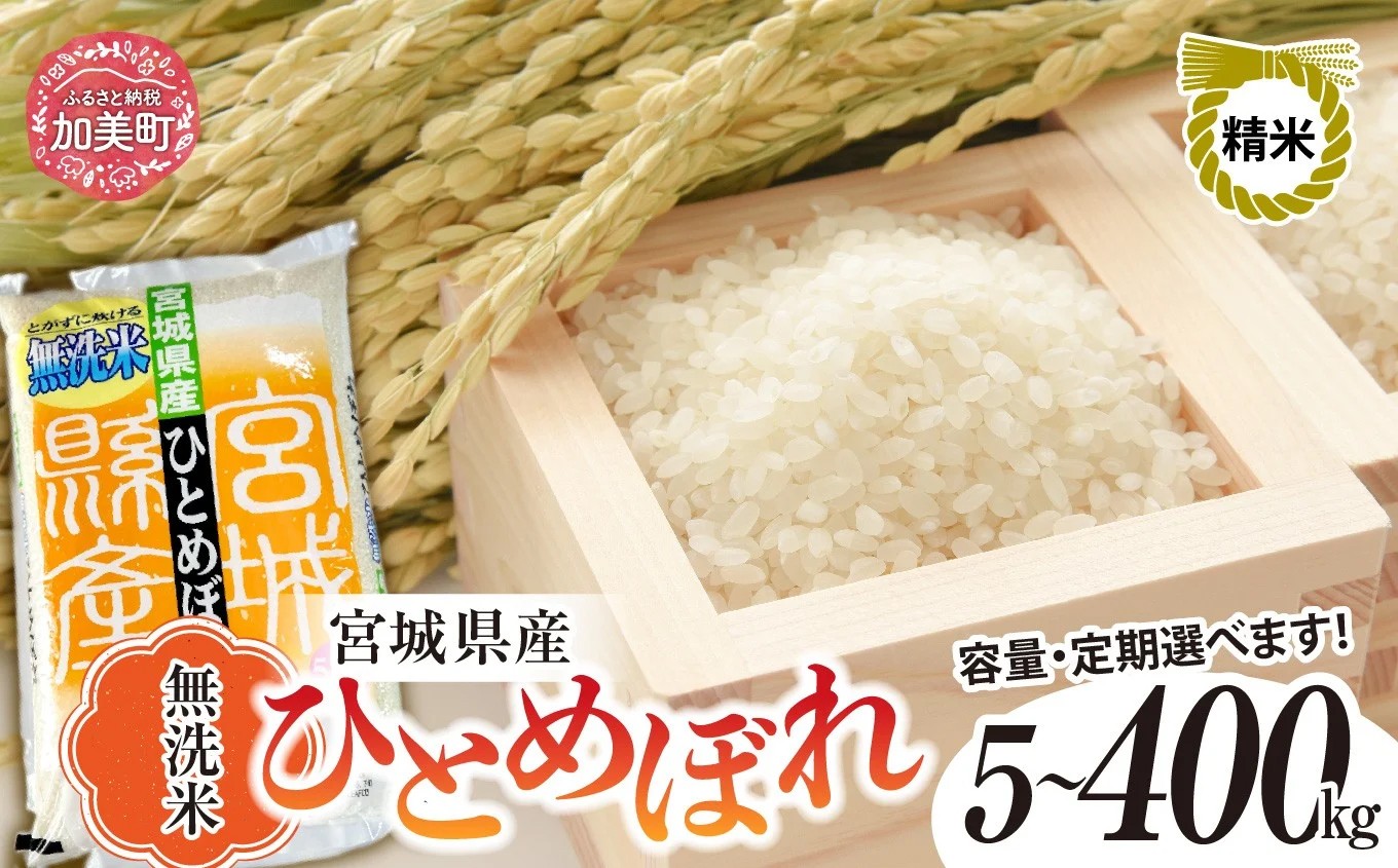 
            無洗米 新米 定期便 予約 ひとめぼれ 令和7年産 5kg / 10kg / 20kg 〜 400kg 米 定期便 2回〜12回まで選べる！(回数 2回 3回 4回 5回 6回 7回 8回 9回 10回 11回 12回 ) 大容量 菅原精米工業 宮城県 加美町 ｜ 3ヶ月 6ヶ月 12ヶ月 ごはん お米 ご飯 コメ 宮城県 精米 ヒトメボレ むせんまい 人気 ふるさと納税 返礼品
          