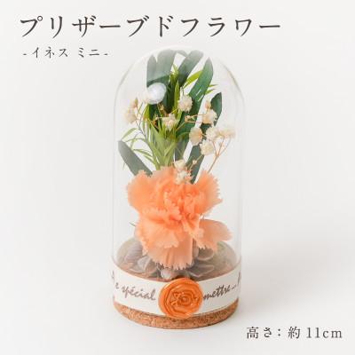 ふるさと納税 羽島市 プリザーブドフラワー ガラスドーム型アレンジ 【イネス ミニ(オレンジ)】