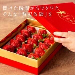【出荷期間は1月～4月末】武下さんちの完熟あまおう3Lサイズ450g。赤いVIPボックスに入れて！