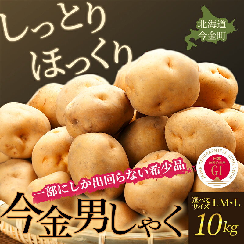 【ふるさと納税】＼選べるサイズ／TVで紹介！【先行予約】今金男しゃく（LMサイズ）・（Lサイズ）約10kg【GI認証取得】 じゃがいも 男爵 男しゃく いも だんしゃく 野菜 幻 北海道 今金町 GI認証 LMサイズ 10kg 青空レストラン F21W-286var