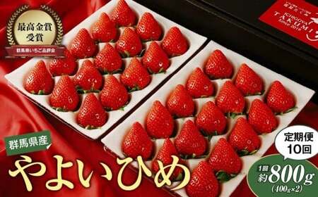 【先行予約】いちご 定期便10回分 やよいひめ（いちご）約800g いちご 群馬県 前橋市