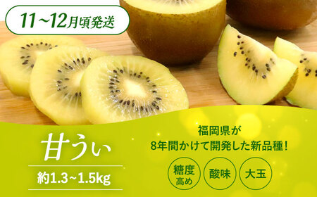 【全3回定期便】九州・福岡もぎたて フルーツ定期便 A＜一般社団法人地域商社ふるさぽ＞那珂川市フルーツ定期便  果物定期便 くだもの [GBX014]40000 40000円