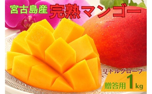 
                  【贈答用】宮古島産マンゴー1kg ＜リトルグローブ＞（LT001）
                