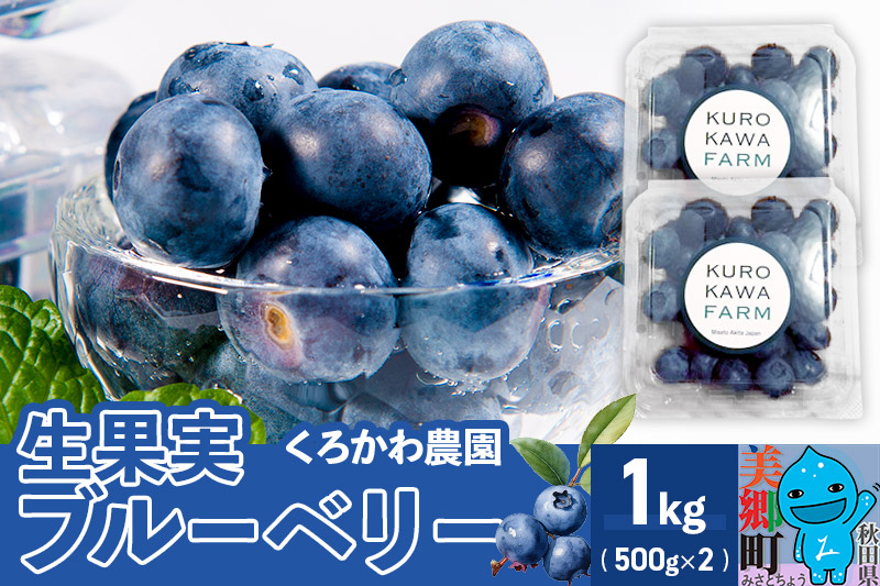 
くろかわ農園 ブルーベリー 1kg（500g×2パック）
