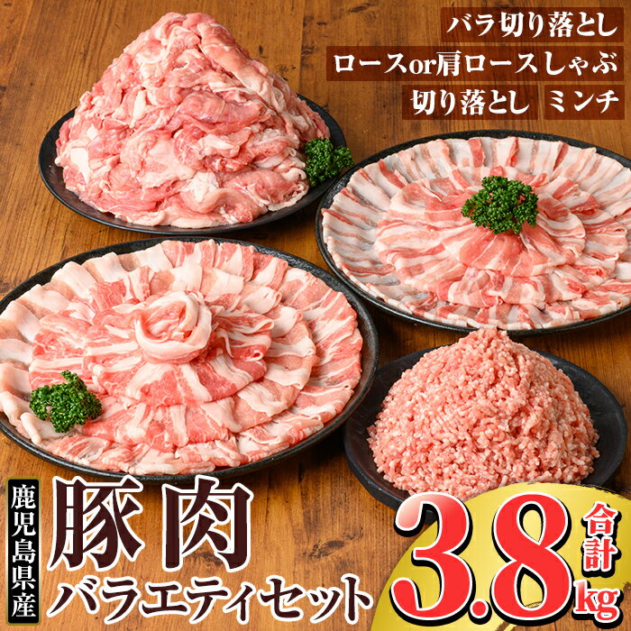 【ふるさと納税】 鹿児島県産豚肉バラエティーセット (計3.8kg) 国産 冷凍 小分け 豚肉 ぶた ブタ 肉 バラ肉 バラ ロース 肩ロース 切り落し ミンチ セット【TRINITY】