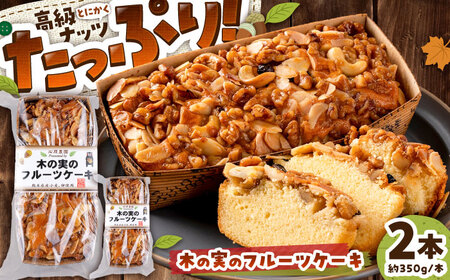 木の実の フルーツケーキ 2個セット BHAK011 フルーツケーキ