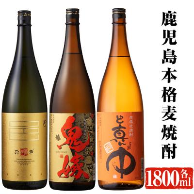 ふるさと納税 曽於市 岩川醸造 麦焼酎 飲み比べ一升瓶×3 本