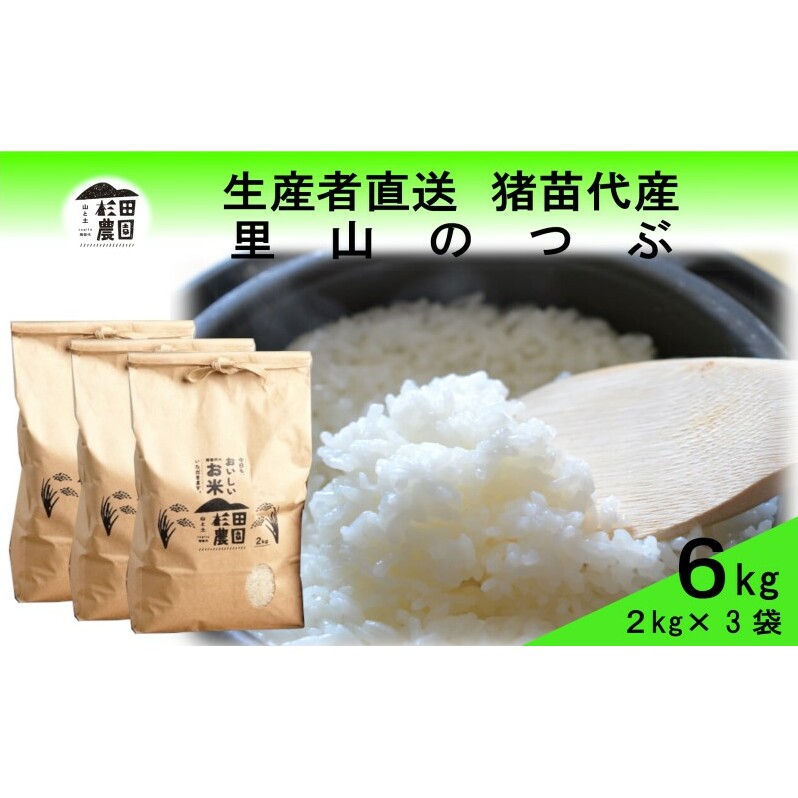 米 令和6年度産 新米 里山のつぶ 6kg(2kg×3袋) 白米 精米 生産者直送 直送