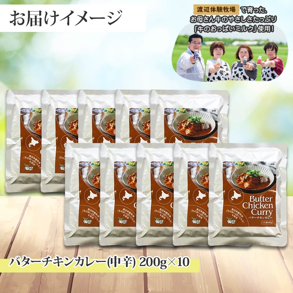 1441. 弟子屈 バターチキンカレー 10個 中辛 チキン 鶏肉 業務用 レトルトカレー レトルト  スパイス ご飯のお供 保存食 備蓄 非常食 北海道 弟子屈町_イメージ5