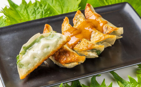 【さっぱり！しそ＆しょうが派×3パック】選べる餃子2種セット！【餃子屋ヒロ】開成町 餃子&nbsp;点心 惣菜 冷凍[BDAS008-6]