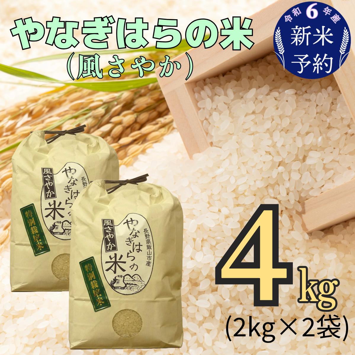 【令和6年産 新米予約】「やなぎはらの米　風さやか」4ｋｇ (6-41)