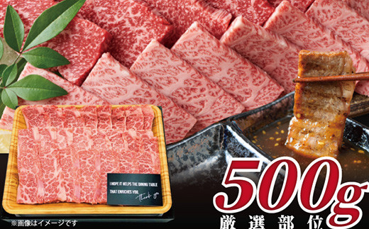 キメが細かく最高の肉質の佐賀牛を500gご用意しました。