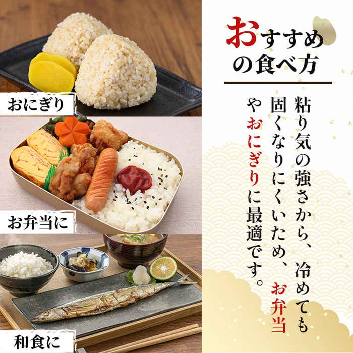 ＜先行予約！2025年11月から順次発送予定＞【令和7年産 新米】柴田町産 ひとめぼれ ＜玄米＞ 30kg お米 おこめ 米 コメ 白米 ご飯 ごはん おにぎり 宮城米 新米 令和7年産 お弁当 【下