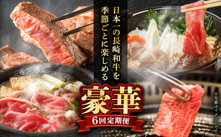 【全6回】【内閣総理大臣賞受賞！】長崎和牛 毎月お届けセット ( 希少部位アリ ) 1kg×6回 [YA20]  肉 牛肉 ロース サーロイン ステーキ サーロインステーキ レモンステーキ すき焼き 