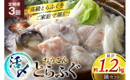 ふぐ 鍋 セット 活〆 おうごんとらふぐ 鍋セット 約400g 3回 定期便 総計 約1.2kg [松永水産 長崎県 平戸市 hr42bgy400158] とらふぐ フグ 河豚 てっちり ふぐちり ふぐ料理 魚介 さかな 切り身 冷凍 海鮮 ふぐ鍋 唐揚げ ポン酢