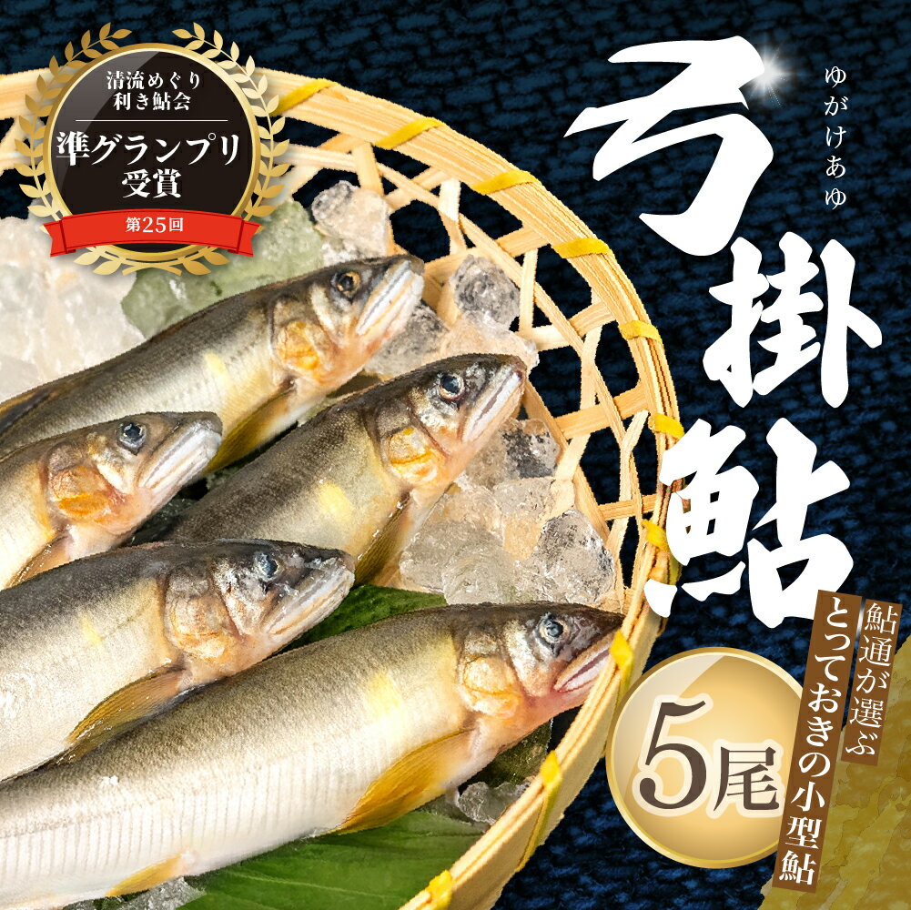 【ふるさと納税】（2026年7月上旬頃から発送）【期間限定】幻の弓掛鮎 5尾以上 鮎通が選ぶ小型の逸品！天ぷら・から揚げ最適サイズ（1尾 約55g以下）計300g以上【冷凍パック】鮎 あゆ アユ ゆがけ 下呂市 金山
