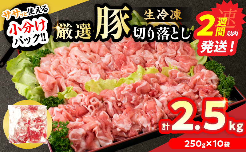 大人気 生冷凍 厳選 豚切り落とし 計2.5kg 国産 食品 豚肉 ぶた ポーク 小分け 個包装 真空パック 便利 大容量 生姜焼き 野菜炒め 豚汁 肉じゃが 豚丼 お弁当 おかず 晩ご飯 おすすめ 