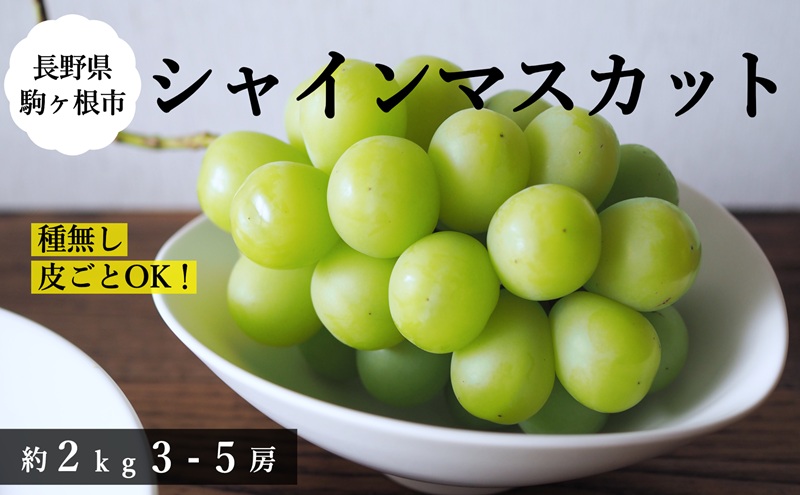 【2026年産予約】シャインマスカット 約2kg（3〜5房）｜農園直送｜2026年9月中旬より発送予定　ぶどう 種なし 皮ごと フルーツ 果物 デザート おやつ マスカット ブドウ 葡萄 秋 旬 信州産 長野県産