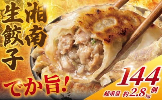 餃子 ぎょうざ 144個 (48個 × 3 パック) 肉汁たっぷり 大きい 国産 ブランド豚 ルイビ豚 ギョウザ gyouza