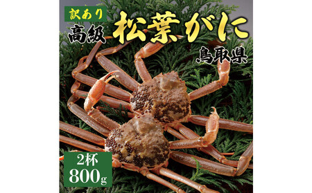 1048.【2025年11月発送】特撰 松葉がに（なま）【訳あり】800g超の大きいサイズ 食べ応えあり 特大2杯