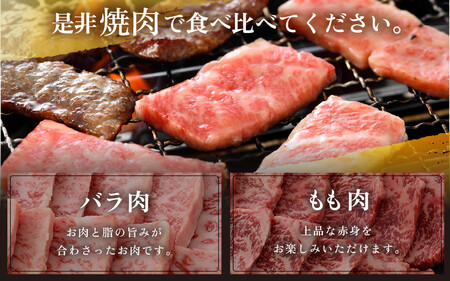 [051-b002] 黒毛和牛 「若狭牛 バラ & もも 焼肉」 食べ比べセット！計500g 【福井県産和牛 国産和牛 焼き肉 バーベキュー BBQ 赤身 冷凍 お取り寄せ グルメ】