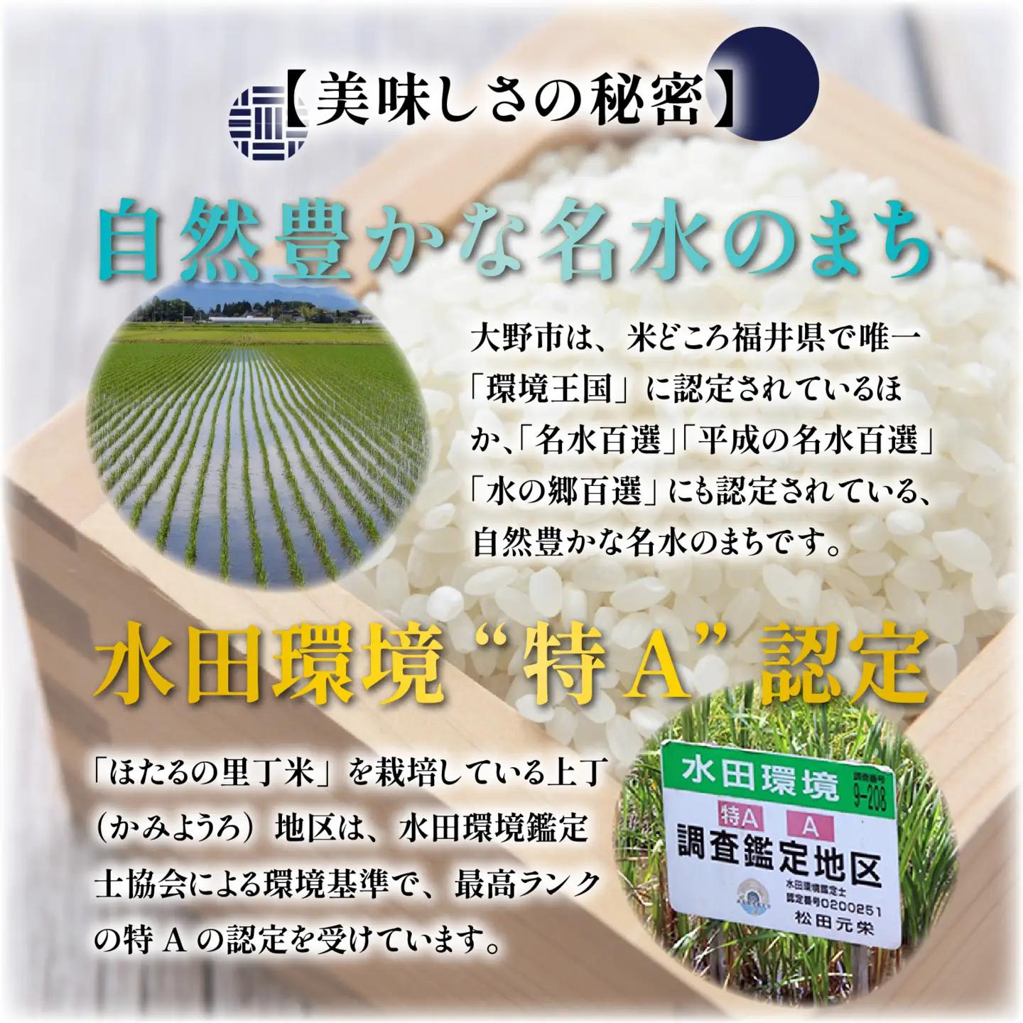 【先行予約】【令和8年産 新米】【5ヶ月定期便】ほたるの里 特別栽培こしひかり 6kg [J-002003] 精米 ベストファーマー