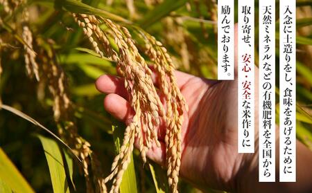 【先行予約】【令和7年産 新米】こしひかり 10kg（農薬・化学肥料不使用）【米 こめ お米 白米 精米 ブランド米 ご飯 人気 徳島 】