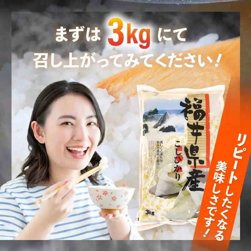 令和7年産  3kg 精米 コシヒカリ 福井県産《14日以内に出荷予定》【 少量  人気品種 産地直送 新生活 】 [e66-a012]
