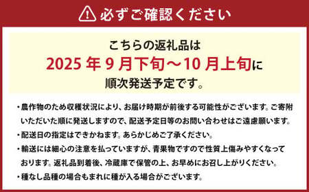 シャインマスカット 1房 約700g 【2025年9月下旬～10月上旬発送予定】 ／ マスカット 葡萄 ブドウ 種無し 種なし