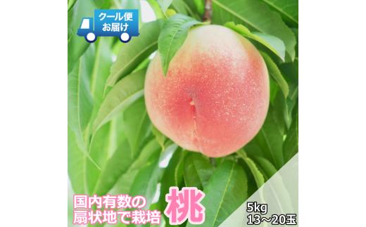 ＜2026年発送先行予約＞クール便 収穫当日に発送 【桃】5kg（13～20玉） ALPDG012