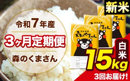 新米 令和7年産 森のくまさん 白米 15kg 5kg×3袋 計3回お届け 《11月から出荷開始》 お米 こめ 熊本県産 ご飯 備蓄